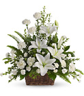 Peaceful White Lilies Basket Cottage Florist Lakeland Fl 33813 Premium Flowers lakeland